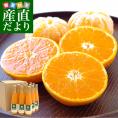 長崎県産 JAながさき西海 味っ子ストレートジュース　500ml×12本 送料無料 みかん 蜜柑 ミカン 味っ子 出島の華