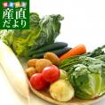 たっぷり野菜詰め合わせ　応援セット　（国産おまかせ野菜１０品セット）※キャベツ、レタス、ほうれん草、小松菜、きゅうり、トマト、ナス、大根、ごぼう、じゃがいも、たまねぎ、にんじんなどの中からおまかせ10