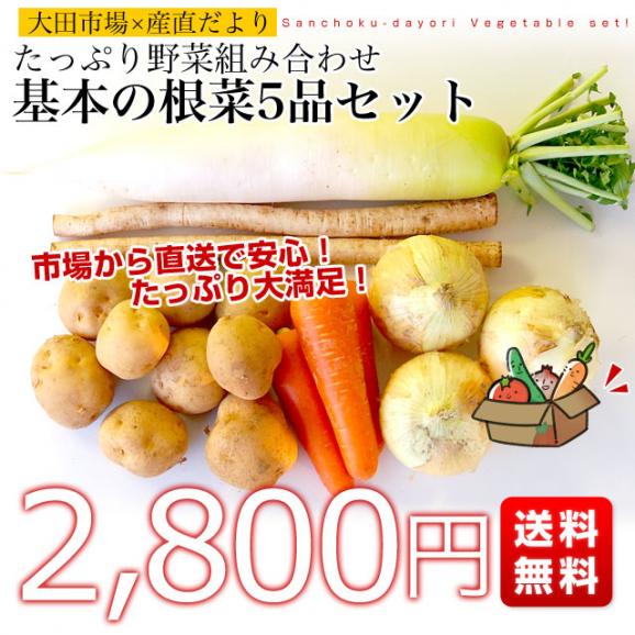 たっぷり野菜詰め合わせ ご自宅直送 応援セット (基本の根菜5品セット) ※じゃがいも、玉ねぎ、にんじん、大根、ごぼう 送料無料03