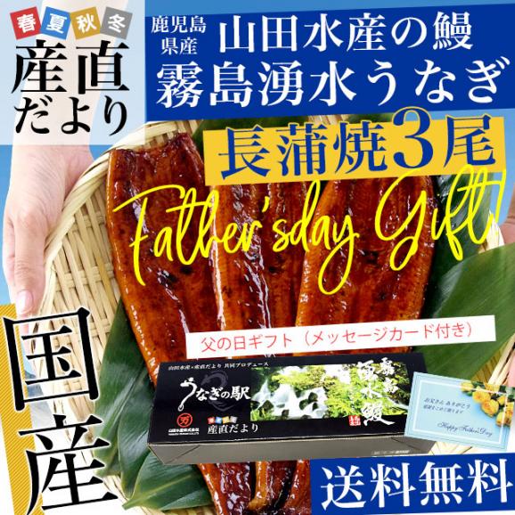 【遅れてごめんね】父の日ギフト 鹿児島県志布志産 山田水産 霧島湧水うなぎ 長蒲焼き 大サイズ3尾セット（140g前後×3尾）送料無料 鰻師 加藤尚武さん ギフト シーフード ギフト対応化粧箱 02