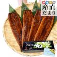 【遅れてごめんね】 父の日ギフト 鹿児島県志布志産 山田水産 霧島湧水うなぎ 長蒲焼き 大サイズ4尾セット（140g前後×4尾）送料無料 鰻師 加藤尚武さん ギフト シーフード ギフト対応化粧箱 