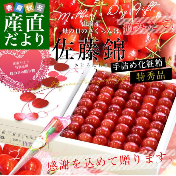 【遅れてごめんね母の日】　母の日ギフト 山形県より産地直送 温室栽培さくらんぼ 佐藤錦　特秀品 300g手詰め化粧箱 (40粒から54粒) 送料無料 母の日プレゼント 桜桃 さとうにしき02