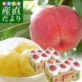 山梨県より産地直送 JAフルーツ山梨 山梨支所の桃 青秀品 2箱 合計3キロ 1.5キロ(5玉から7玉)×2箱 送料無料 もも モモ お中元ギフト