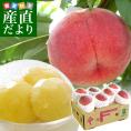 山梨県より産地直送 JAフルーツ山梨 山梨支所の桃 青秀品 1.5キロ(5玉から7玉) 送料無料 もも モモ お中元ギフト