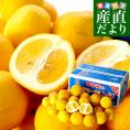 愛媛県より産地直送 JAにしうわ ニューサマーオレンジ ご家庭用 5キロ　2ＬからＬサイズ（25玉から31玉） みかん おれんじ 送料無料