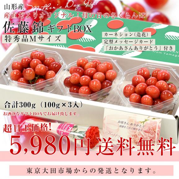 【遅れてごめんね母の日】　母の日ギフト 山形県 温室栽培さくらんぼ 佐藤錦 特秀品 合計300g　ダイヤパック×３P (約100g×3P) 送料無料 母の日プレゼント 桜桃 さとうにしき03