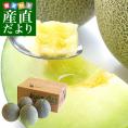 熊本県産 JA熊本市またはJA熊本うき タカミメロン 約5キロ ４Lから３Lサイズ　(3玉から4玉) 送料無料　市場スポット