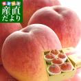 山梨県より産地直送 JA南アルプス市 南アルプスの桃 光甘度(こうかんど) 最高級EX 約2キロ (大玉6玉入り) 送料無料 南アルプス光甘度