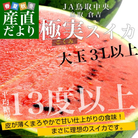 鳥取県より産地直送　JA鳥取中央　倉吉スイカ　極実（ごくみ） 秀品 ３L以上の大玉 7.5キロ以上 送料無料 西瓜 すいか02