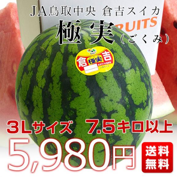 鳥取県より産地直送　JA鳥取中央　倉吉スイカ　極実（ごくみ） 秀品 ３L以上の大玉 7.5キロ以上 送料無料 西瓜 すいか03