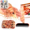 北海道から発送 船上凍結ボタン海老 (ロシア産) 大型サイズ 500g(9尾から12尾) 牡丹 エビ 