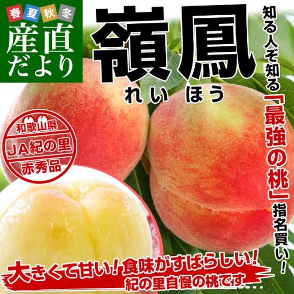 和歌山県より産地直送 JA紀の里 紀の里の桃 嶺鳳 赤秀品 1.8キロ (6玉から8玉) 送料無料 桃 もも02