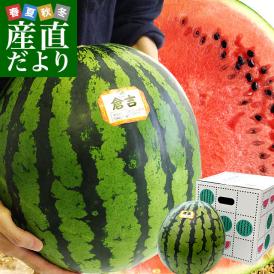 鳥取県　JA鳥取中央　倉吉スイカ　秀品　大玉　4Lサイズ　9キロ以上　1玉　西瓜　すいか　スイカ　送料無料　市場発送