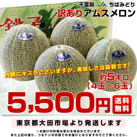 千葉県産 JAちばみどり アムスメロン 訳あり 5キロ （4玉から6玉）送料無料 めろん 市場スポット03