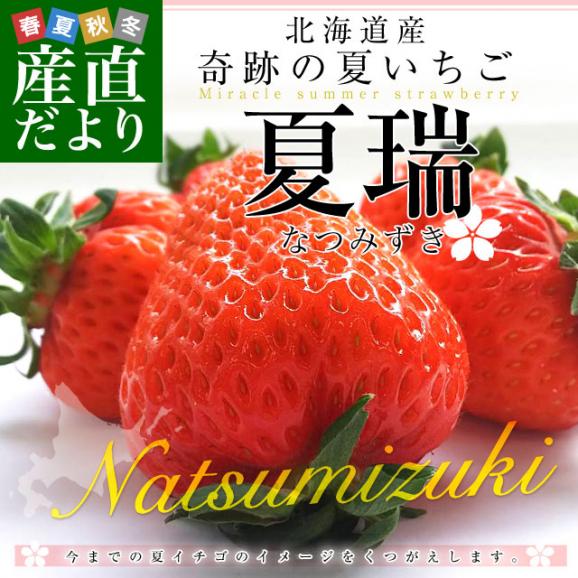 北海道より産地直送 高級いちご 夏瑞（なつみずき）約180g（6粒から7粒）×2パック　化粧箱入り イチゴ 苺 夏イチゴ02