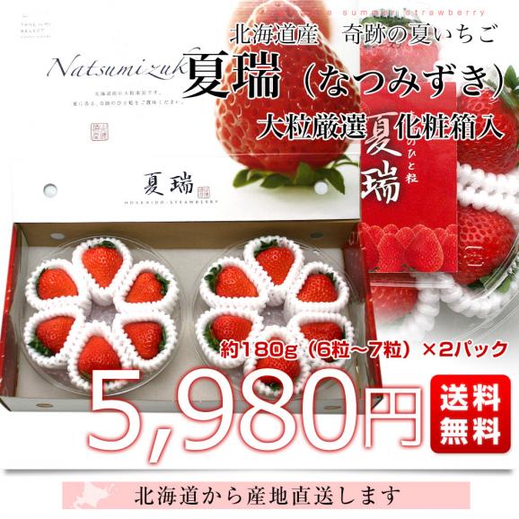 北海道より産地直送 高級いちご 夏瑞（なつみずき）約180g（6粒から7粒）&times;2パック　化粧箱入り イチゴ 苺 夏イチゴ　送料無料03