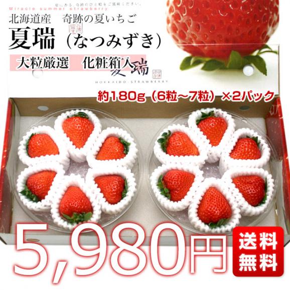 北海道より産地直送 高級いちご 夏瑞（なつみずき）約180g（6粒から7粒）×2パック　化粧箱入り イチゴ 苺 夏イチゴ03