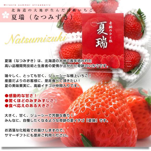 北海道より産地直送 高級いちご 夏瑞（なつみずき）約180g（6粒から7粒）×2パック　化粧箱入り イチゴ 苺 夏イチゴ04