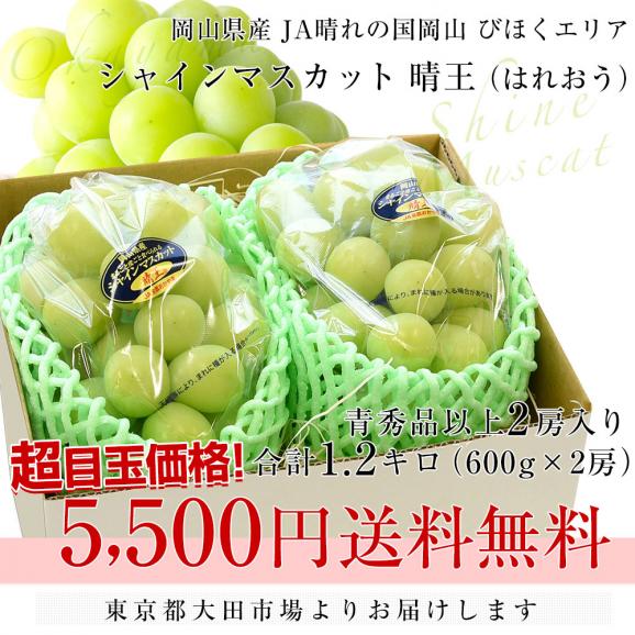 岡山県産 JA晴れの国岡山びほくエリア シャインマスカット 晴王 青秀品以上 約1.2キロ(600g×2房) 葡萄 ぶどう ブドウ 送料無料 クール便03