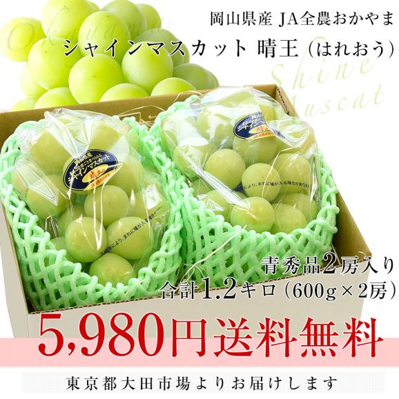 岡山県産　JA全農おかやま シャインマスカット 晴王 青秀 約1.2キロ(600g×2房) 葡萄 ぶどう ブドウ 送料無料 クール便03