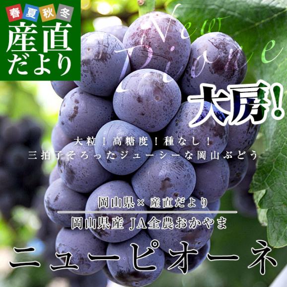 岡山県産 ニューピオーネ 青秀品以上 約1.2キロ(600g×2房)　送料無料 ブドウ 葡萄 種なしぶどう ピオーネ 黒ぶどう ※クール便02