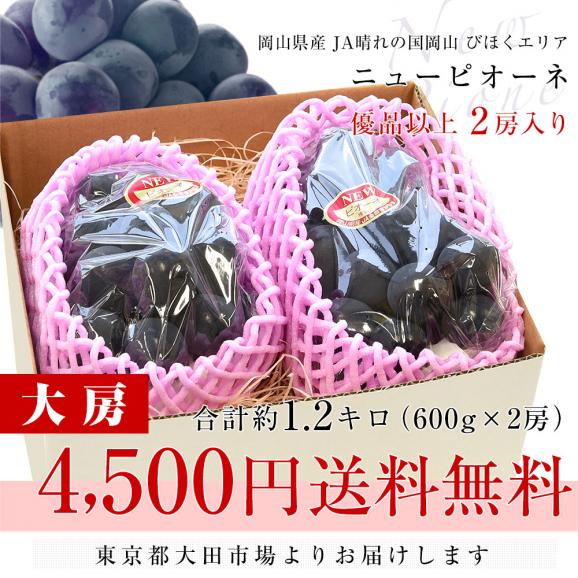 岡山県産 JA晴れの国岡山 びほくエリア ニューピオーネ 優品以上 約1.2キロ(600g&times;2房)　送料無料 ブドウ 葡萄 種なしぶどう ピオーネ 黒ぶどう ※クール便03