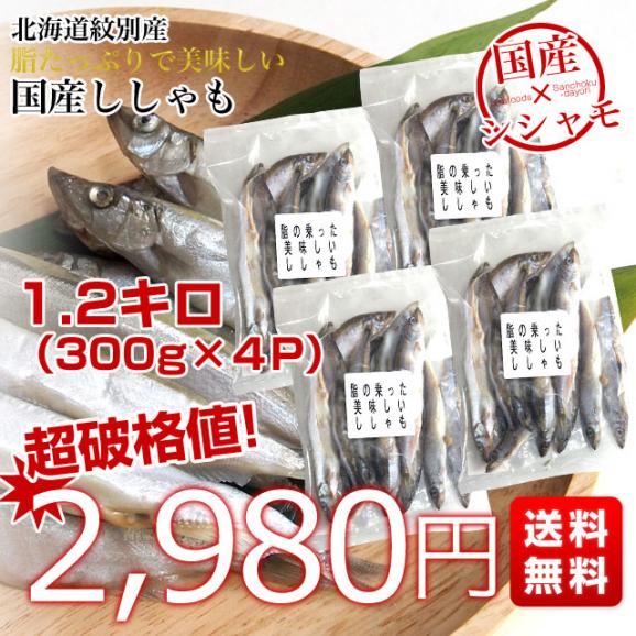 北海道から発送 北海道紋別産 脂たっぷりの美味しいシシャモ（オスメス込）1.2キロ（300g×4P）シシャモ03