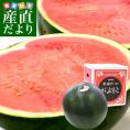 鳥取県から産地発送 JA鳥取中央 琴浦スイカ 「がぶりこ」 秀品 3Ｌから4L 8キロ以上1玉 すいか 西瓜 送料無料