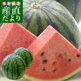北海道から産地発送 JAきょうわ らいでんスイカ 秀品 2Lサイズ （6キロ×2玉入り）すいか 西瓜 送料無料