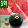 千葉県産 JAちばみどり 銚子の黒皮スイカ ブラックジャック 4L 大玉1玉 約10キロ 送料無料 西瓜 すいか 市場発送