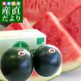 千葉県産 JAちばみどり 銚子の黒皮スイカ ブラックジャック 3L×2玉（約8キロ×2玉） 送料無料 西瓜 すいか