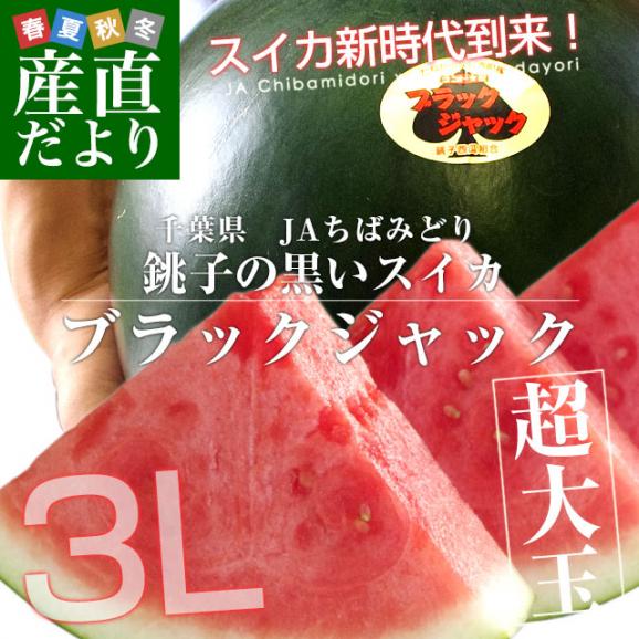 千葉県産 JAちばみどり 銚子の黒皮スイカ ブラックジャック 3L×2玉（約8キロ×2玉） 送料無料 西瓜 すいか02