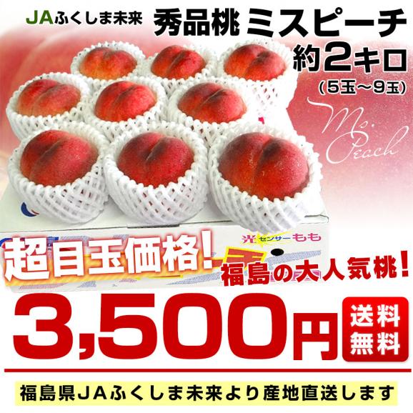 福島県より産地直送 JAふくしま未来 秀品桃 ミスピーチ 約2キロ (5玉から9玉) 送料無料 もも 桃 お中元 ギフト03
