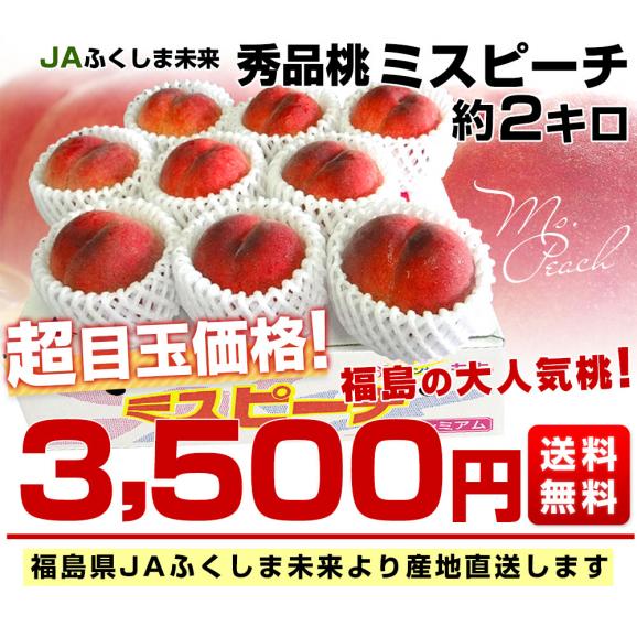 福島県より産地直送 JAふくしま未来 秀品桃 ミスピーチ 約２キロ (5玉から9玉) 送料無料 もも 桃　ギフト 夏ギフト お中元 御中元03