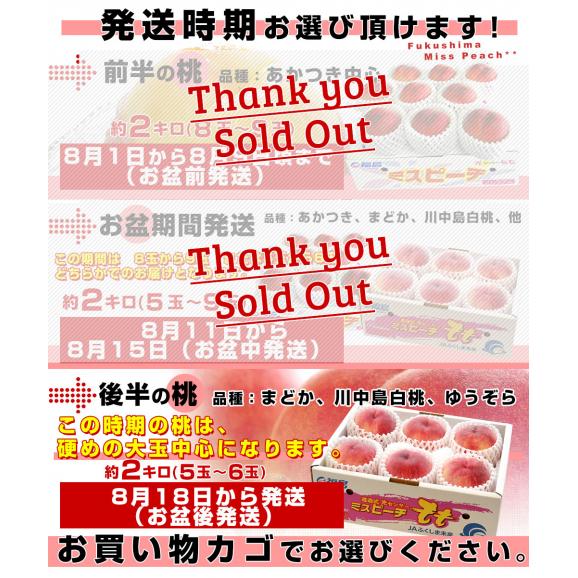 福島県より産地直送 JAふくしま未来 秀品桃 ミスピーチ 約２キロ (5玉から9玉) 送料無料 もも 桃　ギフト 夏ギフト お中元 御中元04