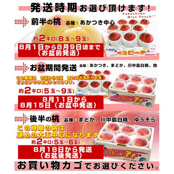 福島県より産地直送 JAふくしま未来 秀品桃 ミスピーチ 約２キロ (5玉から9玉) 送料無料 もも 桃　ギフト 夏ギフト お中元 御中元04