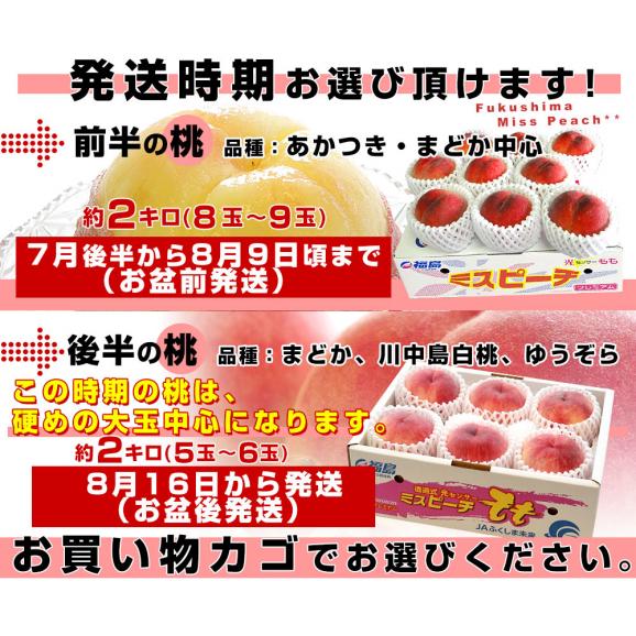 福島県より産地直送 JAふくしま未来 秀品桃 ミスピーチ 約２キロ (5玉から9玉) 送料無料 もも 桃　ギフト 夏ギフト お中元 御中元04