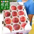 山梨県産 JAふえふき 一宮の超大玉桃 青秀品 原箱5キロ（超大玉12玉サイズ）送料無料 もも