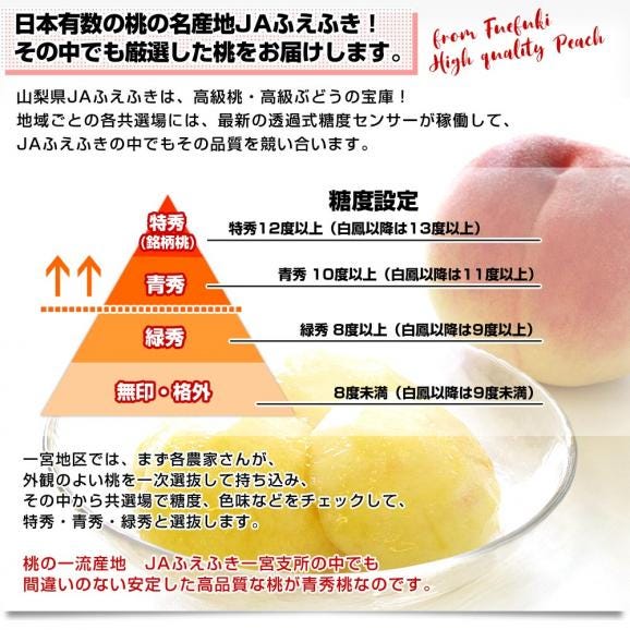 山梨県産 JAふえふき 一宮の超大玉桃 青秀品 原箱5キロ（超大玉12玉サイズ）送料無料 もも04