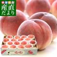 山梨県産 JAフルーツ山梨 春日居支所 春日居の桃 青秀品 5キロ(15玉から16玉入り) 送料無料 かすがい 笛吹市