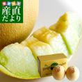 青森県より産地直送 完熟収穫 つがりあんメロン アムさんメロン 2玉入り化粧箱 (約1.3キロ×2玉) 送料無料 メロン