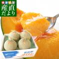 北海道産 北海道赤肉メロン 優品以上 (ふらのメロンまたは、とままえメロン) 合計8キロ 4玉から6玉入り 富良野メロン 苫前メロン 送料無料 市場スポット