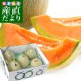 北海道産 JA夕張市 夕張メロン 優品 約8キロ （5玉から6玉入） 送料無料 めろん 市場スポット  ※クール便