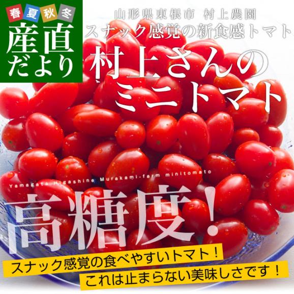 山形県より産地直送 東根市村上農園 村上さんのスナック感覚のミニトマト １キロ 送料無料 tomato02
