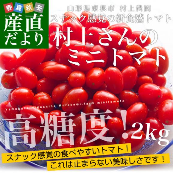 山形県より産地直送 東根市村上農園 村上さんのスナック感覚のミニトマト 2キロ 送料無料 tomato02