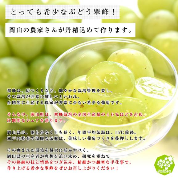 JA全農おかやま協賛 岡山県産 大粒ぶどう 翠峰（すいほう）青秀2房合計1.2キロ(600g×2房）送料無料05