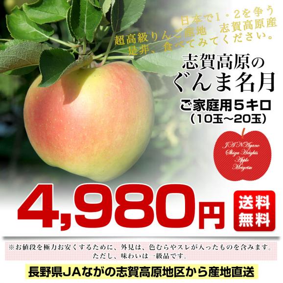 長野県より産地直送 JAながの 志賀高原のぐんま名月 ご家庭用約5キロ (10玉から20玉) 送料無料 林檎 りんご リンゴ めいげつ03