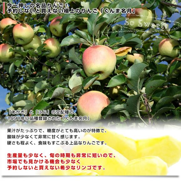 長野県より産地直送 JAながの 志賀高原のぐんま名月 ご家庭用約5キロ (10玉から20玉) 送料無料 林檎 りんご リンゴ めいげつ04