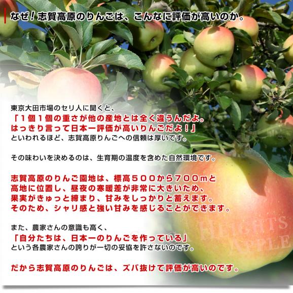 長野県より産地直送 JAながの 志賀高原のぐんま名月 ご家庭用約5キロ (10玉から20玉) 送料無料 林檎 りんご リンゴ めいげつ05