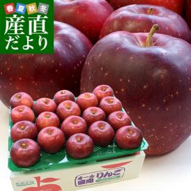 岩手県より産地直送 JA全農いわて 岩手県オリジナル品種 紅いわて 等級：特以上 約5キロ (14玉から20玉) 送料無料 林檎 りんごリンゴ